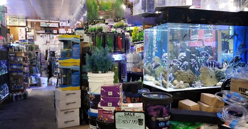 Aquatica Aquarium Gallery - Photo 5