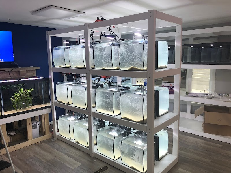 SharkBait LLC - Photo 1