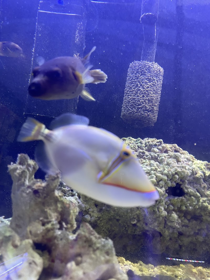 SharkBait LLC - Photo 2