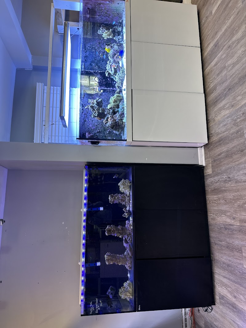 SharkBait LLC - Photo 3