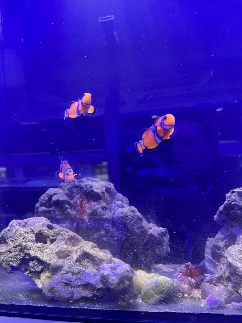 SharkBait LLC - Photo 5