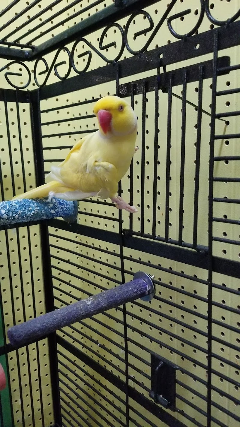 Tropical Paradise Pet Center - Photo 3