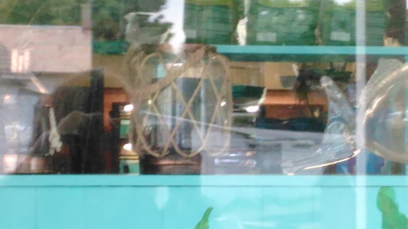 Tropical Paradise Pet Center - Photo 5