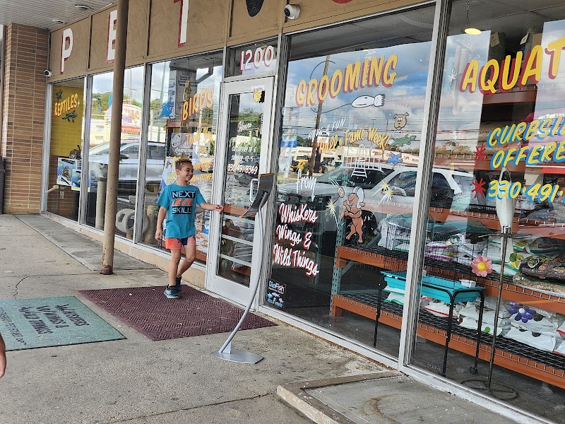 Whiskers Wings And Wild Things - Photo 1