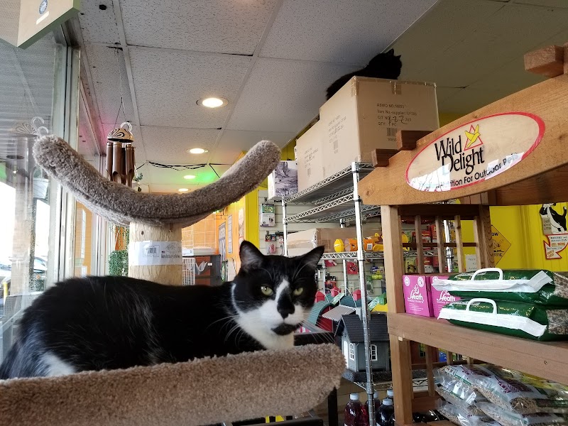 Whiskers Wings And Wild Things - Photo 2