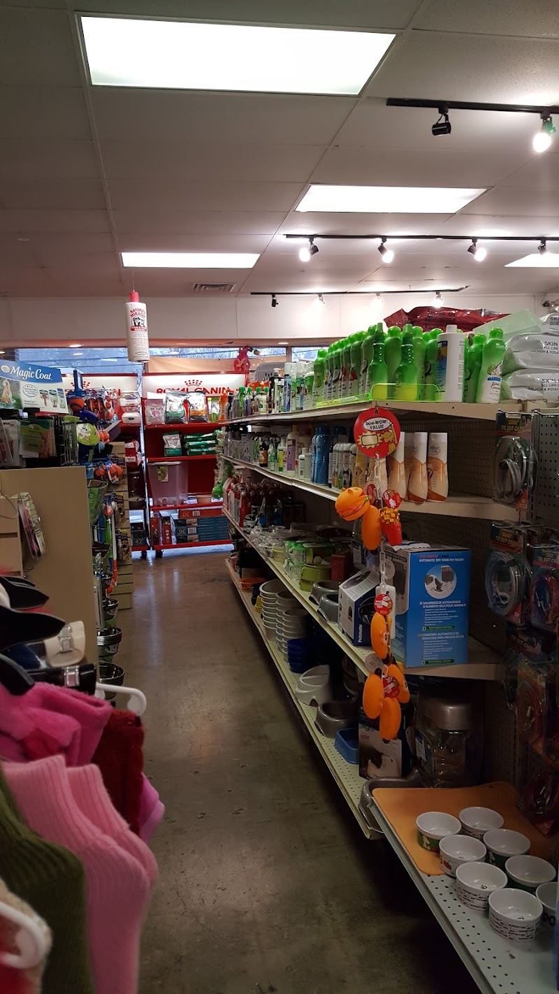 Whiskers Wings And Wild Things - Photo 3