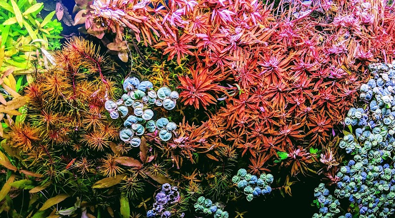 Rivers to Reefs Aquariums - Photo 2