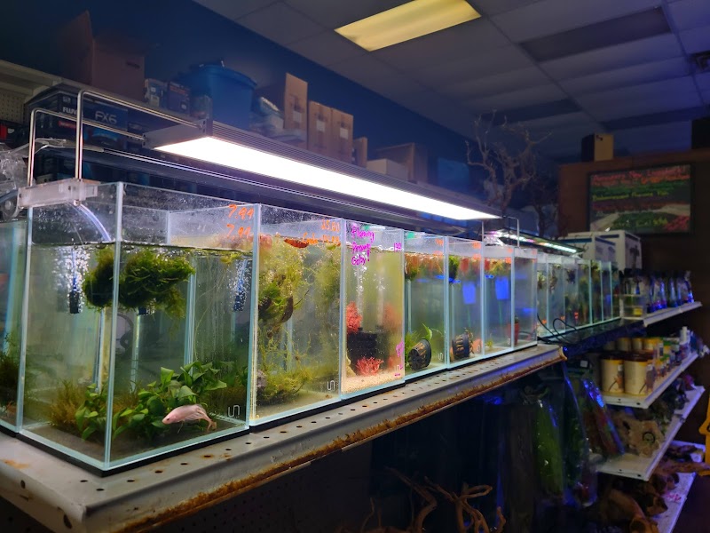 Rivers to Reefs Aquariums - Photo 3