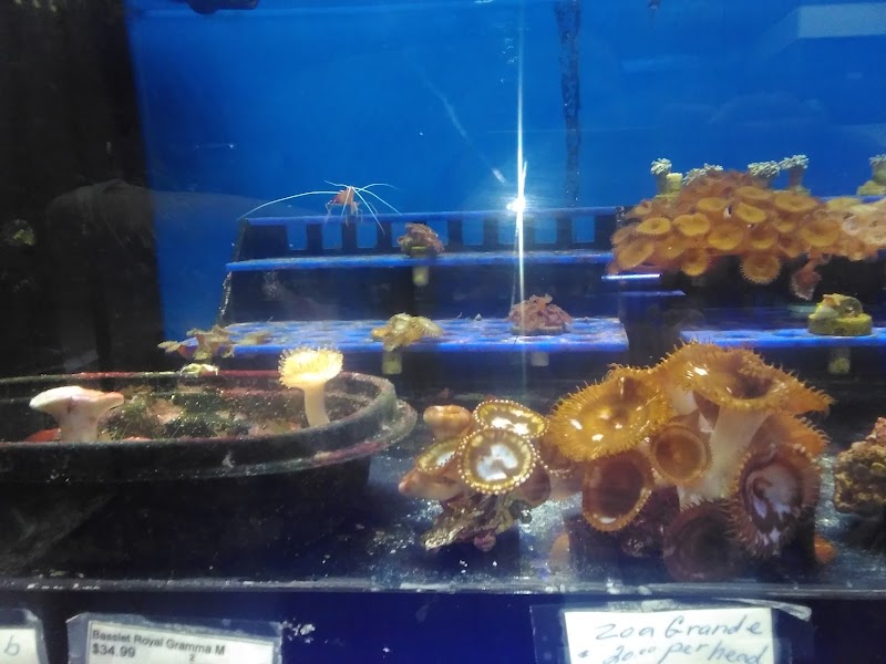 J P Success, Inc. - Photo 2