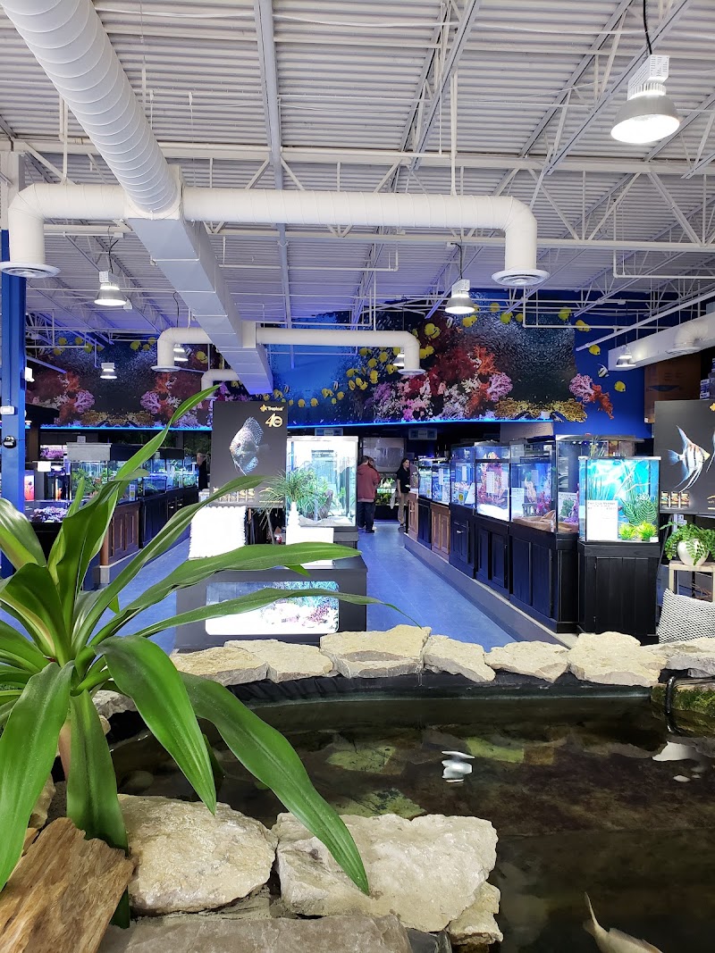 Aquarium Adventure Columbus - Photo 2