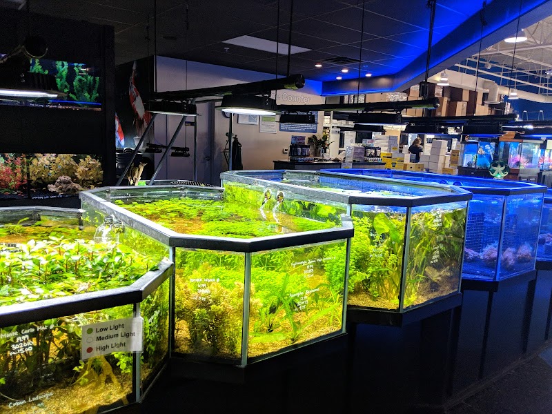 Aquarium Adventure Columbus - Photo 4