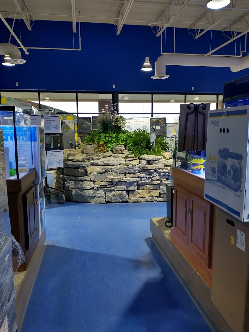 Aquarium Adventure Columbus - Photo 5