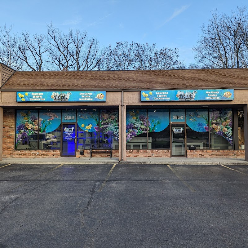 Matt's Corals & Service - Photo 1
