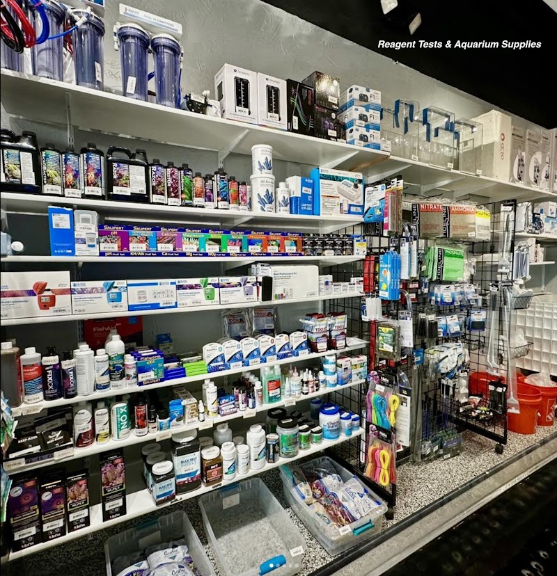 Matt's Corals & Service - Photo 3