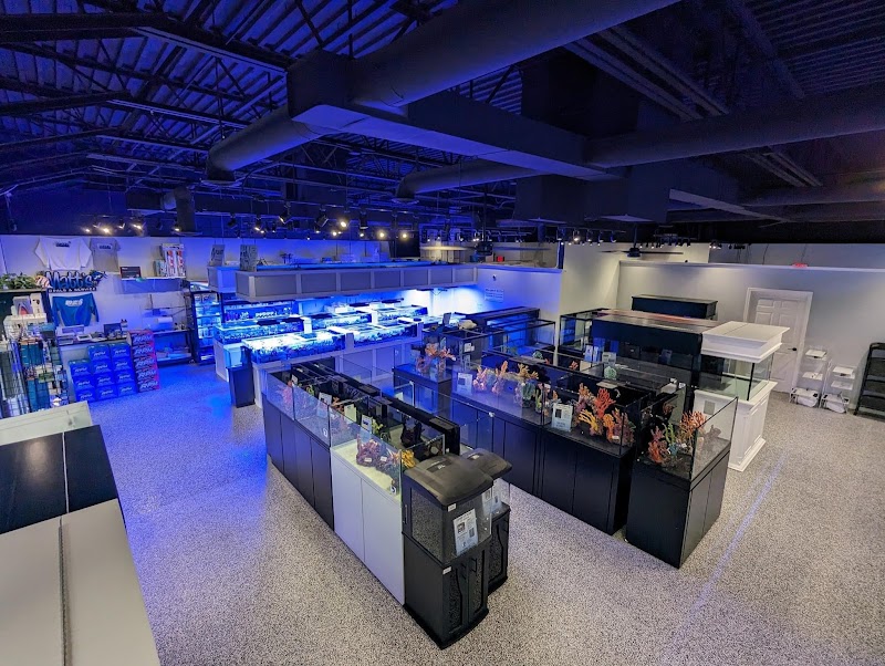 Matt's Corals & Service - Photo 4