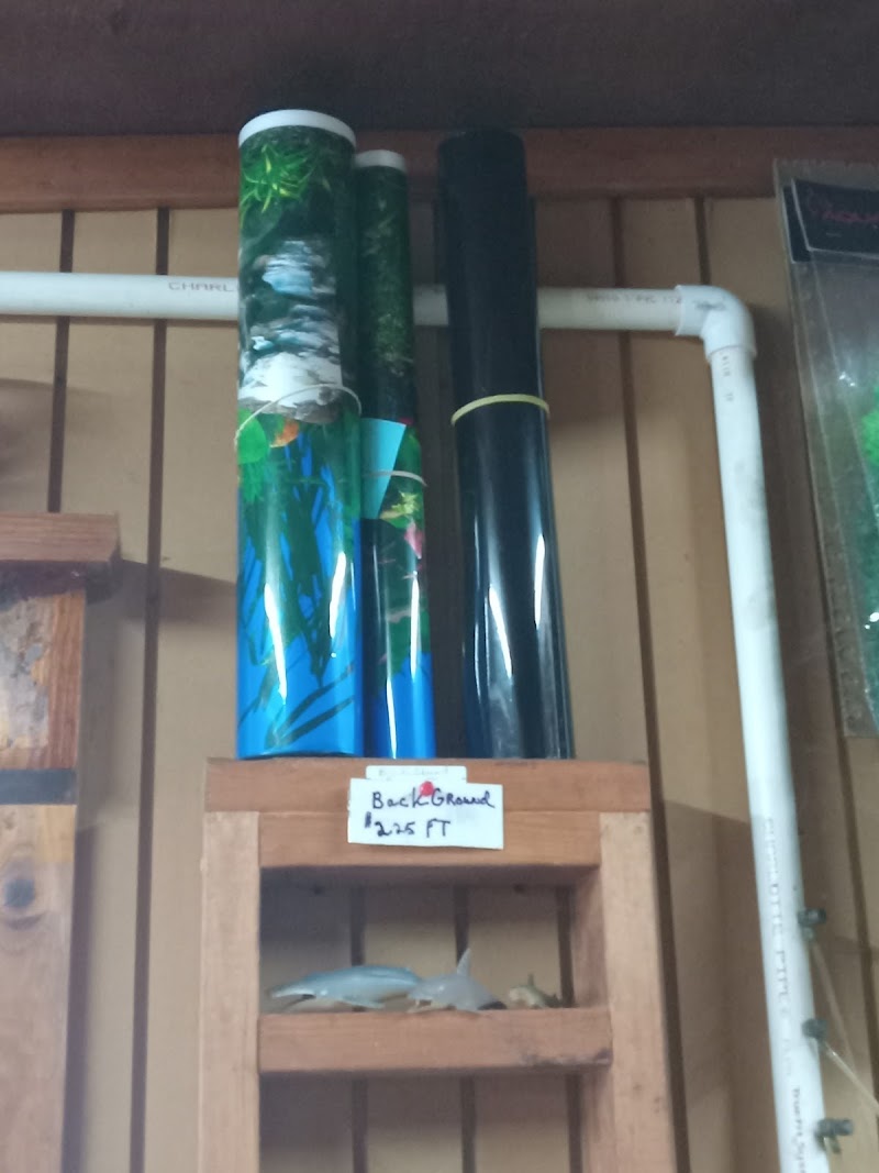 Outback Fish & Things - Photo 1