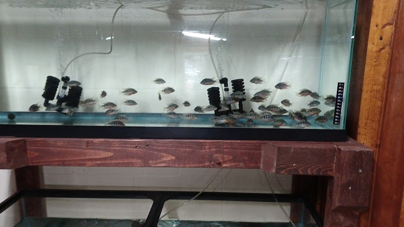 Outback Fish & Things - Photo 2