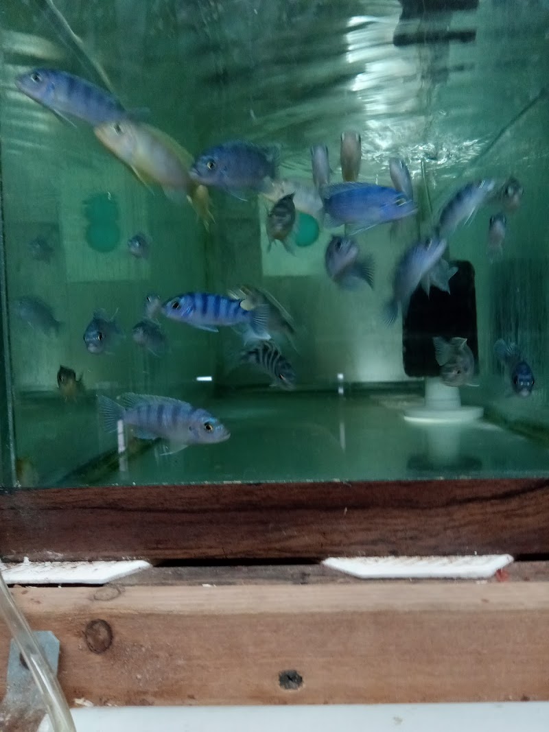 Outback Fish & Things - Photo 3