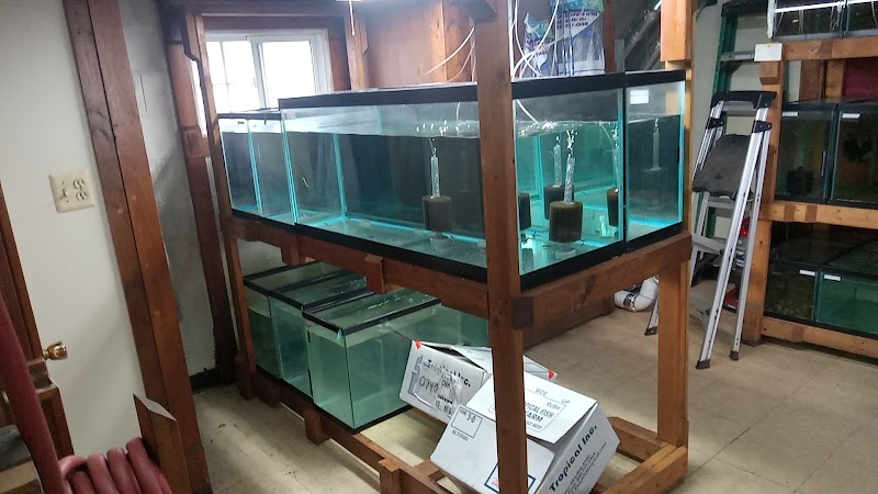 Outback Fish & Things - Photo 5