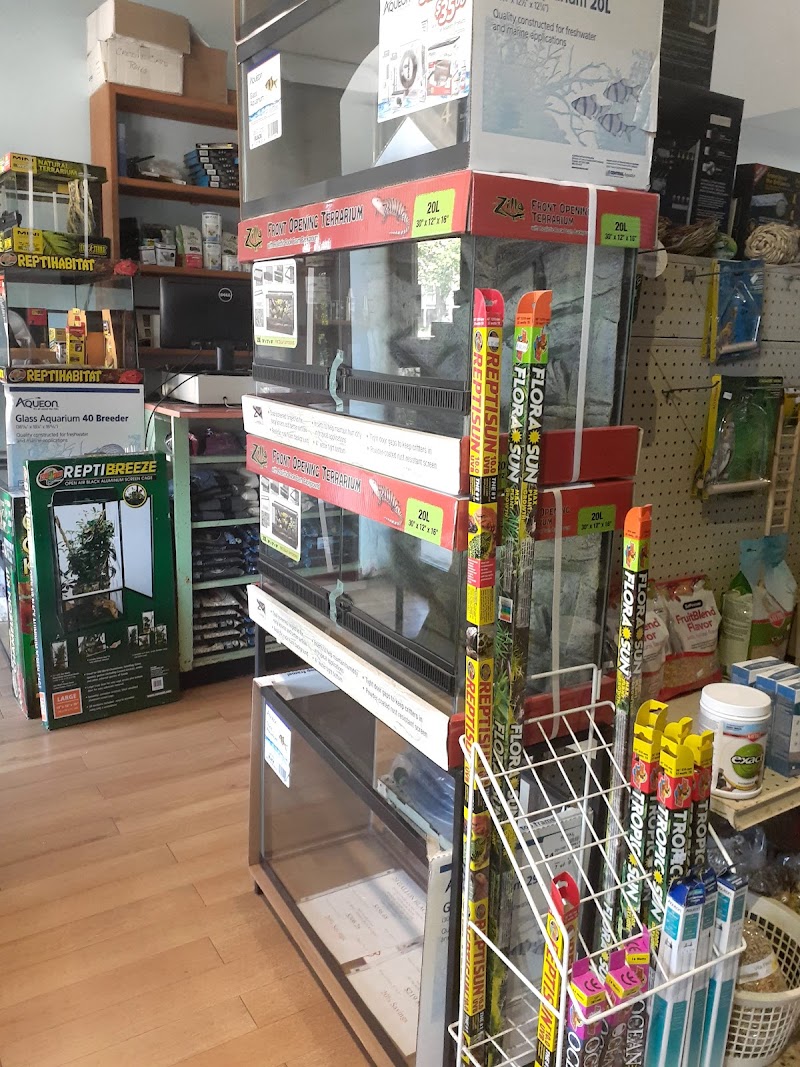 Fish N' Stuff - Photo 2