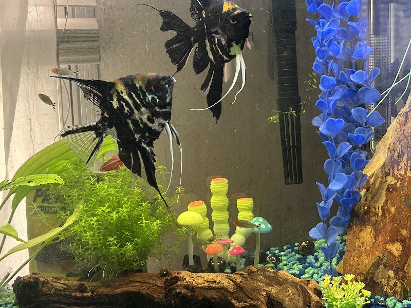 Fish N' Stuff - Photo 3