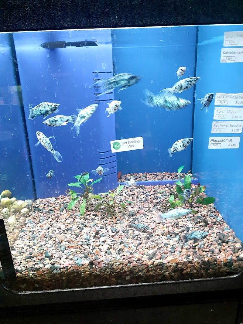 Fish N' Stuff - Photo 4