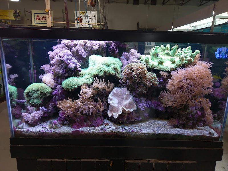 RMS Aquaculture - Photo 3