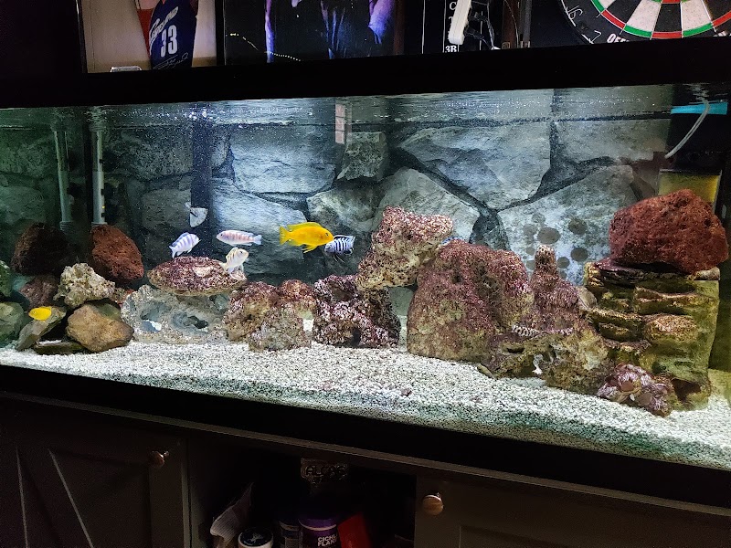 RMS Aquaculture - Photo 4