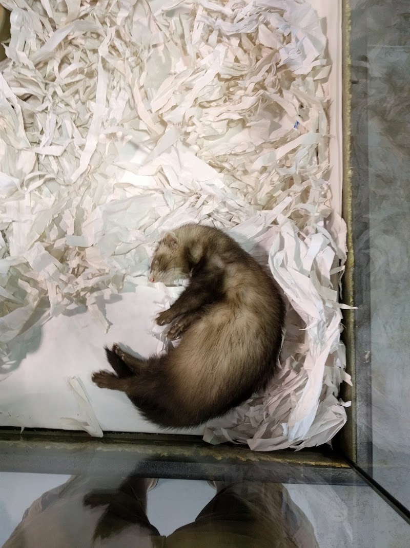 RMS Aquaculture - Photo 5