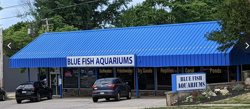 Blue Fish Aquariums - Photo 1