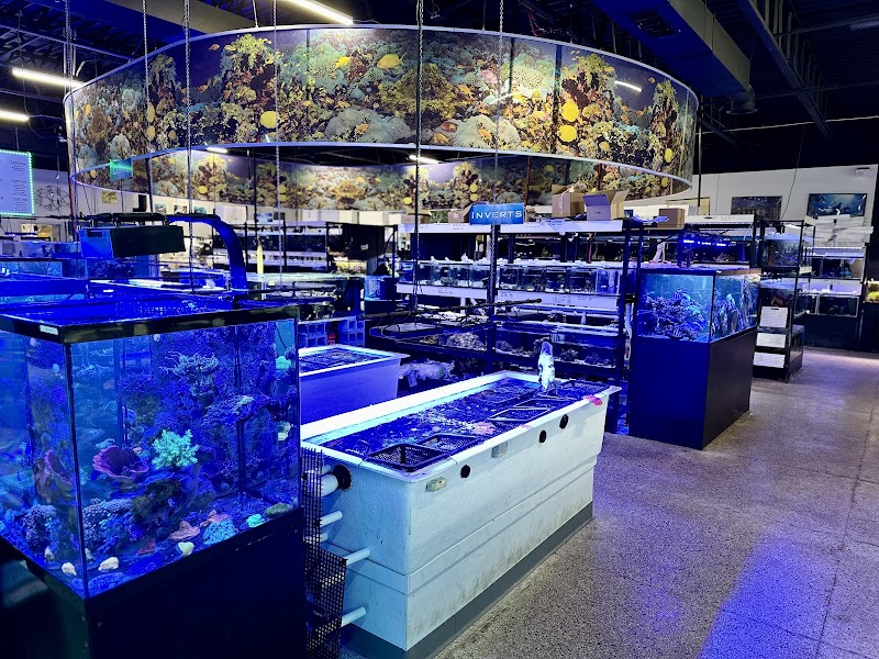 Blue Fish Aquariums - Photo 2