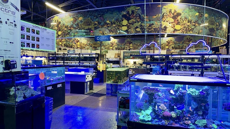 Blue Fish Aquariums - Photo 5