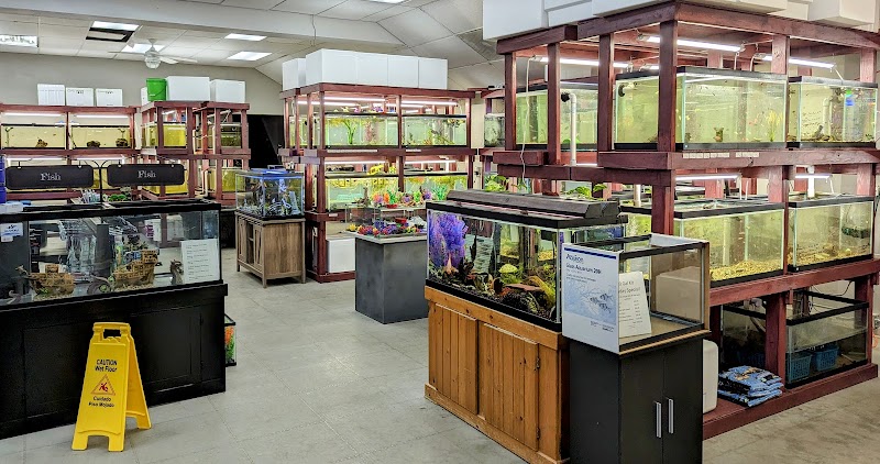 Rainy Day Fish LLC - Photo 2