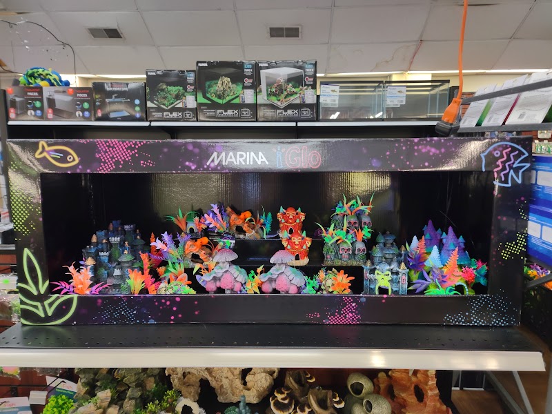 Rainy Day Fish LLC - Photo 3