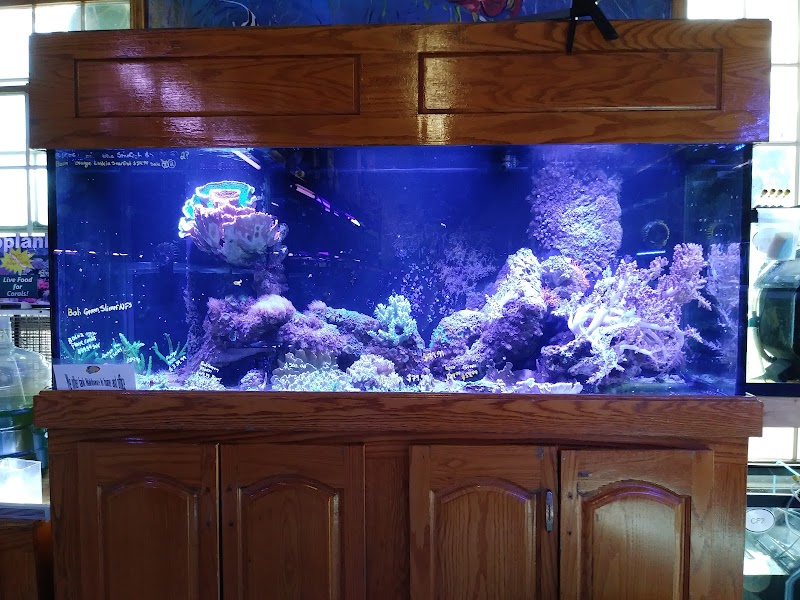 Aquatic Technology - Photo 2