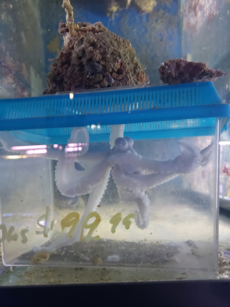 Aquatic Technology - Photo 4