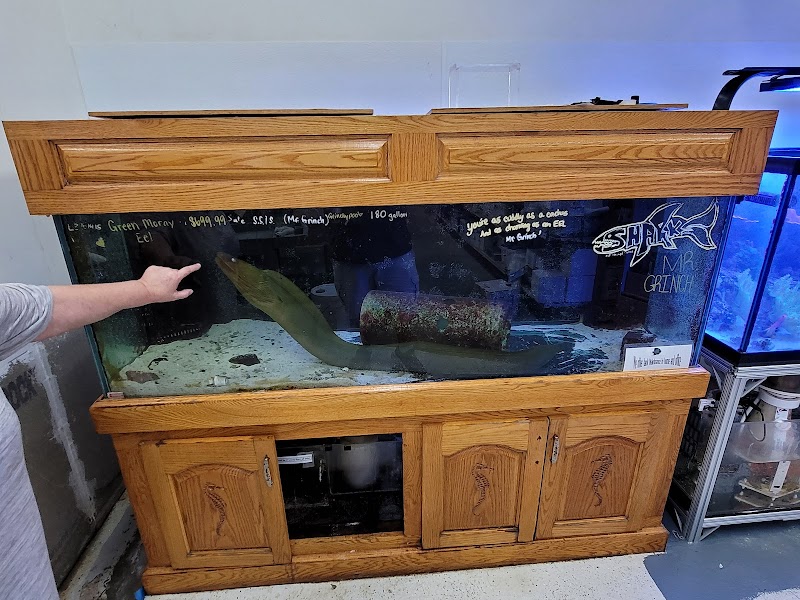 Aquatic Technology - Photo 5