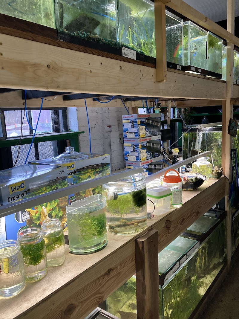 Aquascapes Tropical Fish - Photo 1