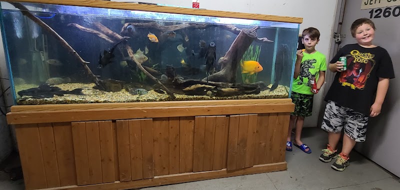 Aquascapes Tropical Fish - Photo 2