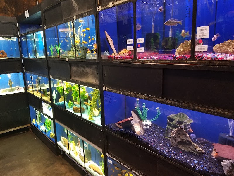 Aquatics Galore - Photo 4
