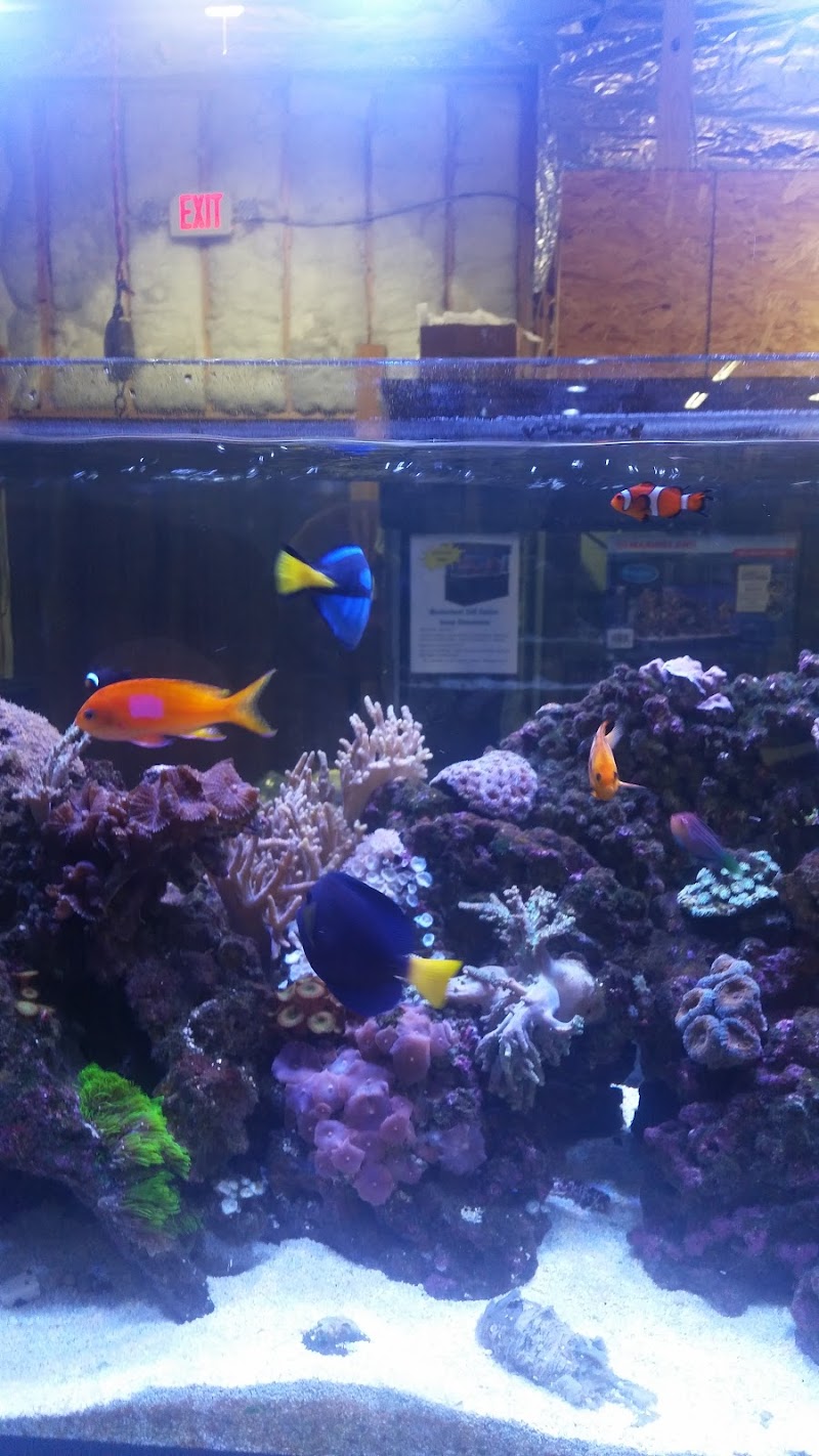 Aquatics Galore - Photo 5