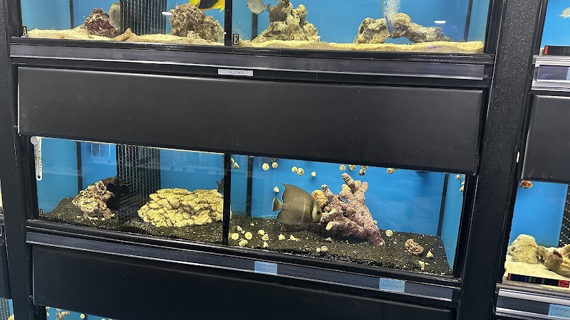 Ladyfish Aquatics - Photo 2