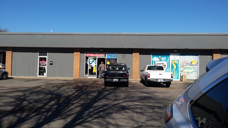 Gerber's Tropical Fish - Photo 1