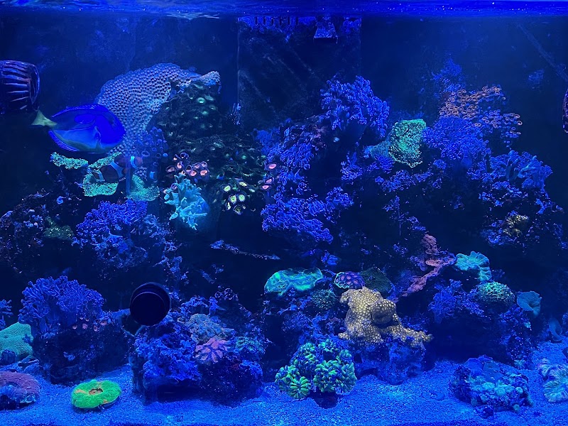 Josh The Fish Guy - Photo 1