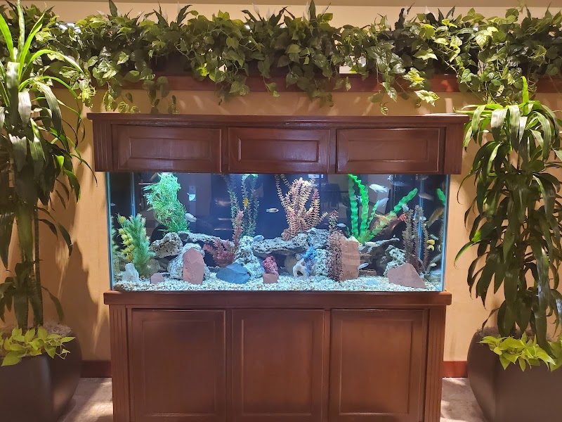 Josh The Fish Guy - Photo 2