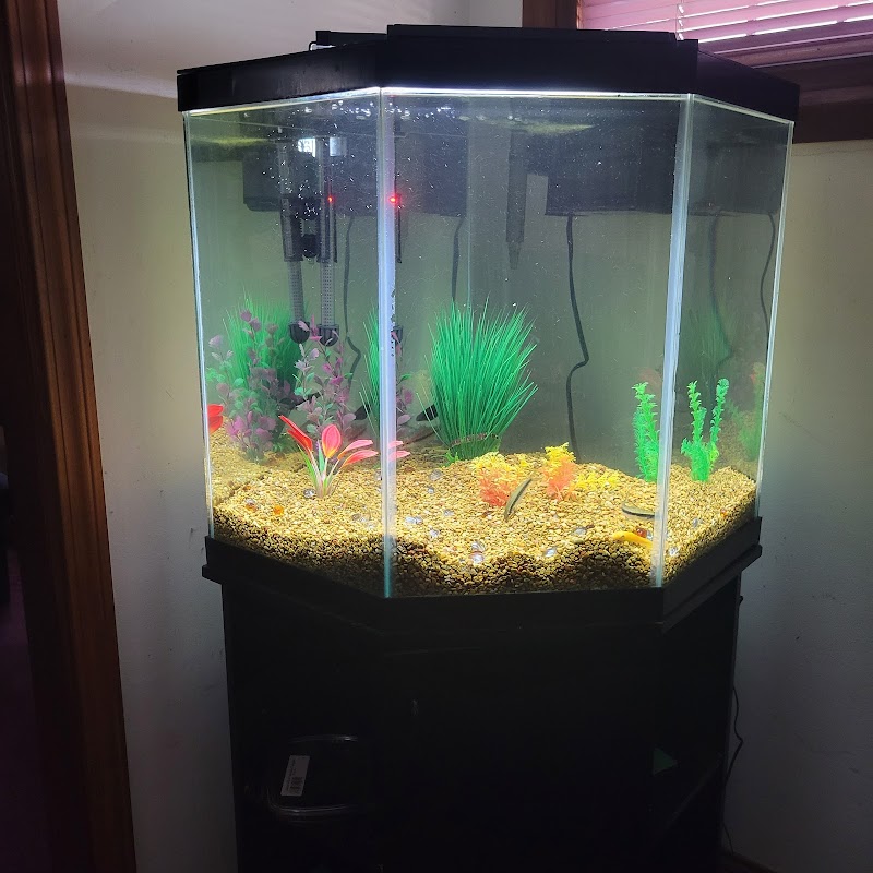 Josh The Fish Guy - Photo 4