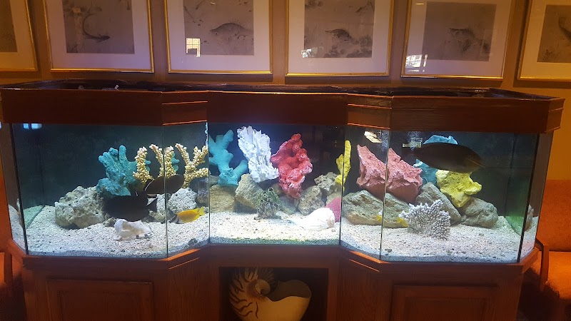 Josh The Fish Guy - Photo 5