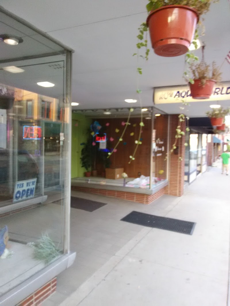 K C's Aquaworld - Photo 1