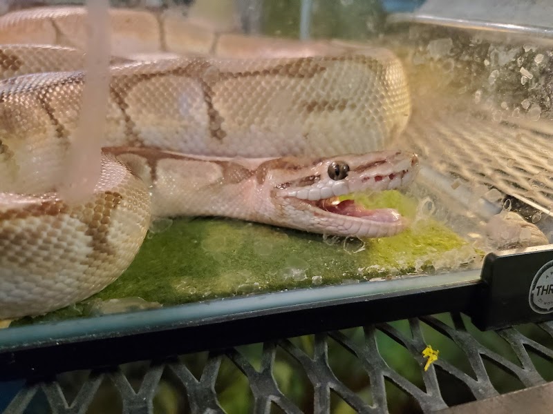 K C's Aquaworld - Photo 4