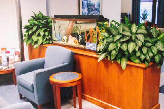 Aquarium Services Inc. - Photo 1